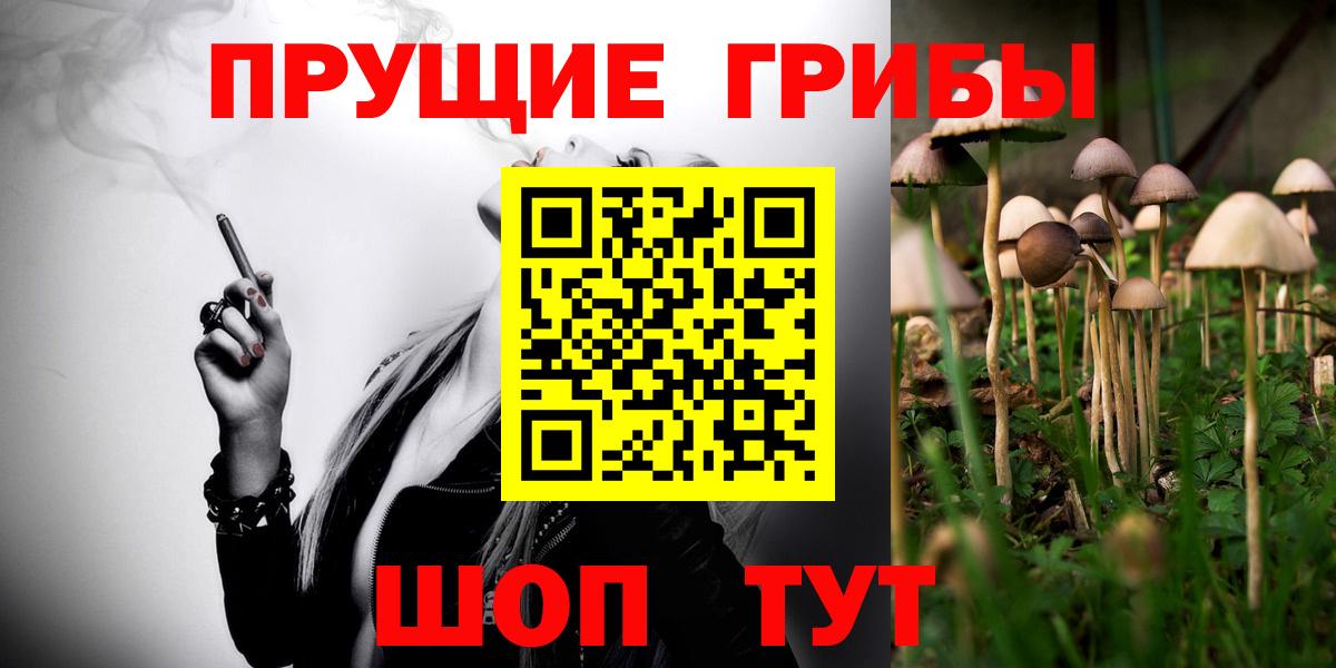Галлюциногенные грибы GOLDEN TEACHER  Вход с VPN  Галлюциногенные грибы Psilocybine cubensis  Асбест 